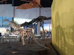 -湖南省地质博物馆