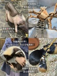 -Zoolung Zoolung动物主题公园(海信广场店)