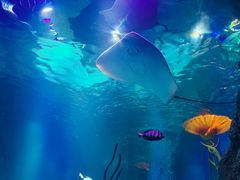 -沈阳海洋探索中心