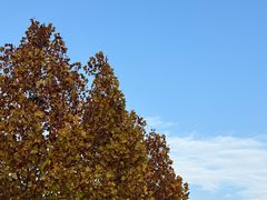 -秀沿路(地铁站)