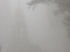 -玉苍山国家森林公园