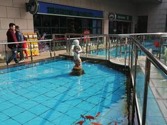 -陕西自然博物馆