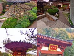 -西安华清御汤酒店