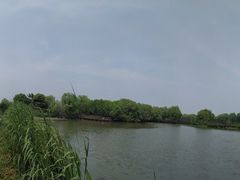 -长兴太湖图影湿地文化园