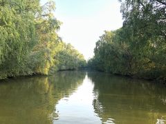 -大湾区中央湿地公园