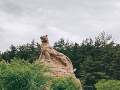 -帽儿山国家森林公园