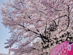 -南浦大桥长途旅游客运站