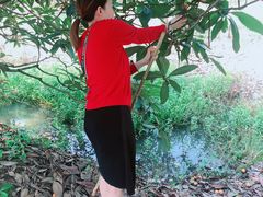 -塘栖枇杷特色园区