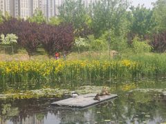 -永定河休闲森林公园