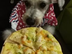 -百好乐宠物友好餐厅(朝外大街店)