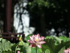 -丝绸小镇荻港古村