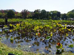 -美兰湖景区