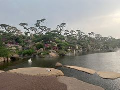 -罗红摄影艺术馆