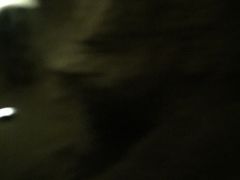 -怀托摩萤火虫洞