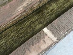 -秀丽东方