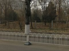 -首都医科大学附属北京地坛医院