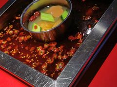 -二荆条·蜀鲜汇城市森林火锅