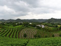 -帐篷客·溪龙茶谷度假酒店