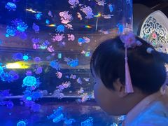-华夏文旅西安度假区