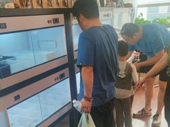 -灵龟之家百象馆(百象馆联合旗舰店)
