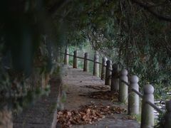 -甘棠公园