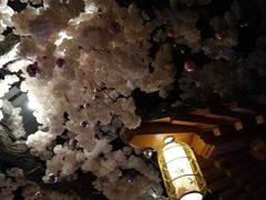 -汤乐汇•足道•SPA生活馆