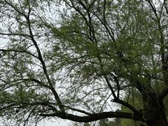 -常德桃花源景区