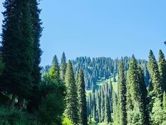 -新疆那拉提国家旅游度假区