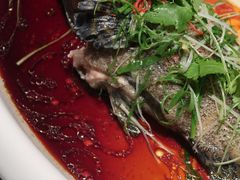 -唐御宴•御宴宫•唐代菜点(芙蓉西路店)