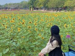 -丹樱生态园