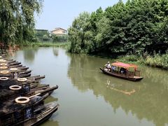 -溱湖国家湿地公园