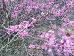 -天台山赤城山景区