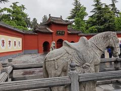 -洛阳白马寺