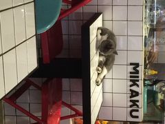 Mikaku(Mikaku万达店)-MIKAKU(万达广场上海宝山店)