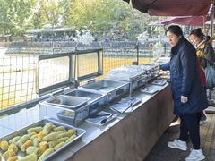 -尚庄度假村·庭台树下·户外烧烤·团建CS·轰趴营地(上庄水库店)