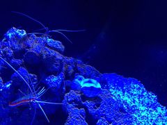 -迪拜水族馆及水下动物园
