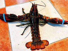 -四海蒸鲜蒸汽海鲜自助(北戴河店)