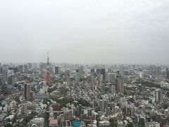 -六本木新城展望台(东京城市景观)