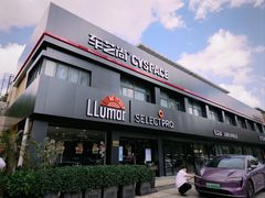 -车艺尚上海龙膜隐形车衣汽车贴膜旗舰店