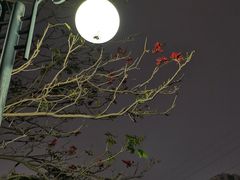 -晓港公园