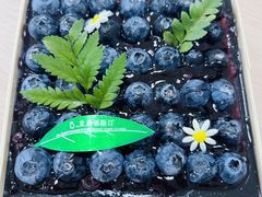 -皇后西斯汀(千姿汇店)