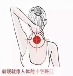 -香薇妮丝女子减肥院