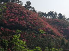 -木兰云雾山