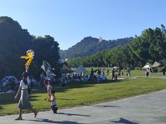 -风云岭森林公园