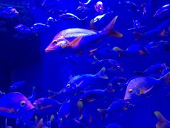 -成都浩海立方海洋公园