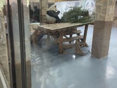 -无锡动物园·太湖欢乐园