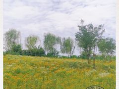 -洨河生态公园