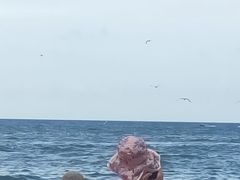 -日照灯塔风景区