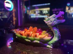 -温莎KTV(珠江路店)