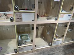 -爪爪喵星球·猫舍(卓悦中心店)